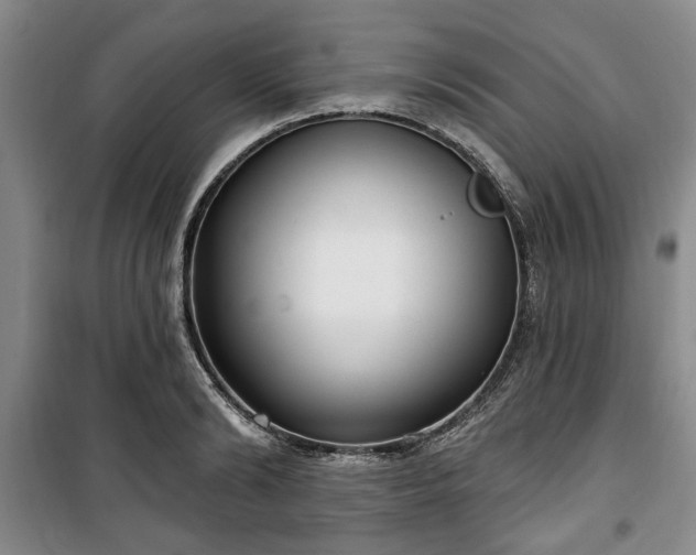 X0000100470894200806131124