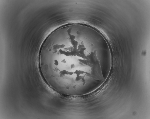 X0000100470895200806131124