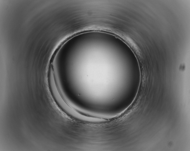 X0000100470896200806131124