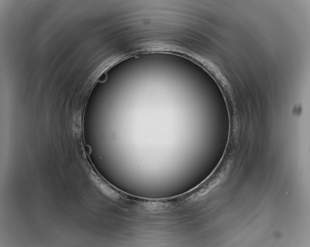 X0000100470897200806131124