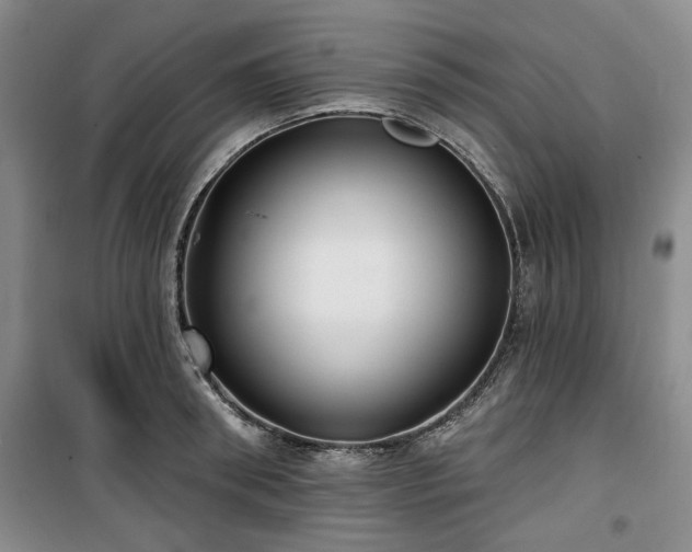 X0000100470898200806131124