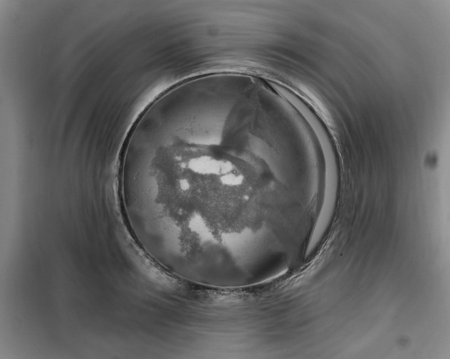 X0000100470899200806131124