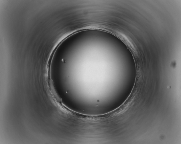 X0000100470900200806131124