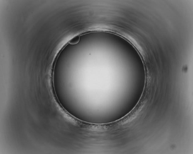 X0000100470901200806131124