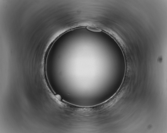 X0000100470902200806131124