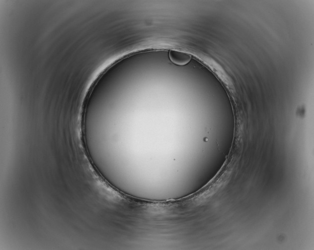 X0000100470904200806131124