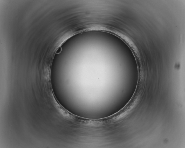 X0000100470905200806131124