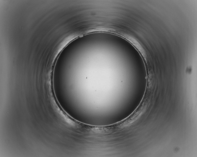 X0000100470906200806131124