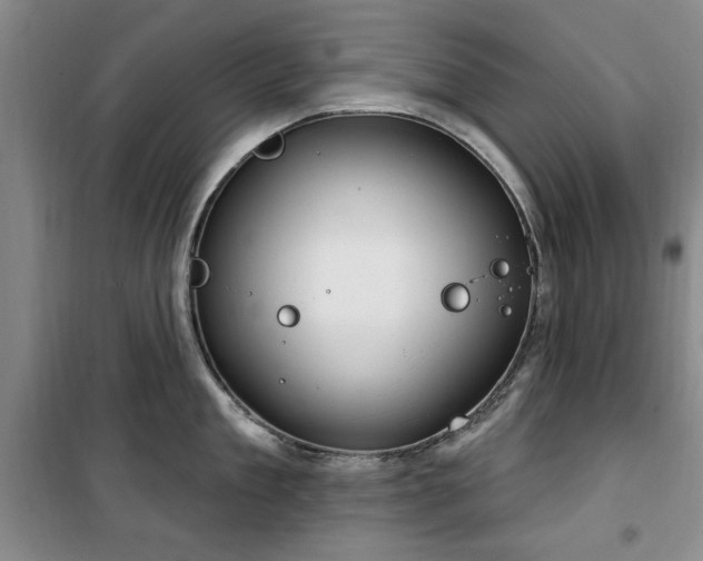 X0000100470909200806131124