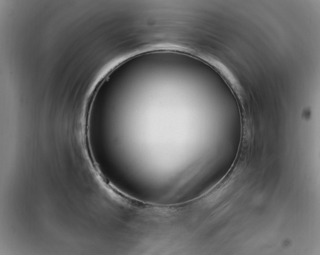 X0000100470910200806131124