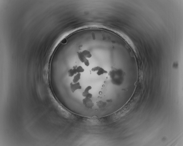 X0000100470911200806131124