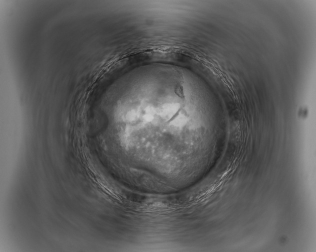 X0000100470913200806131124