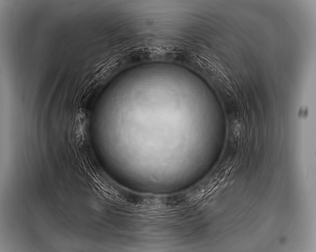 X0000100470914200806131124