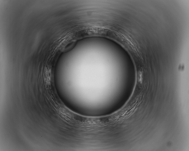 X0000100470915200806131124