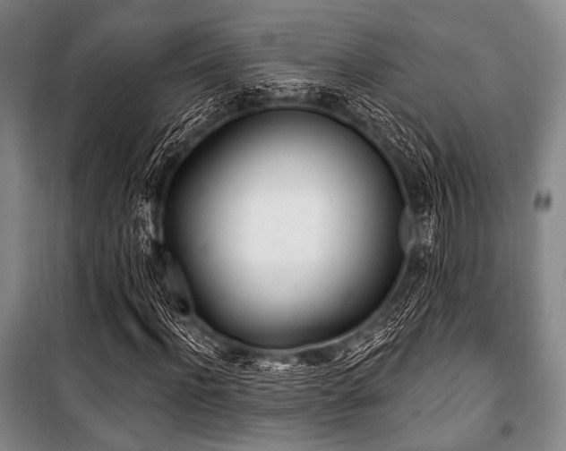 X0000100470916200806131124