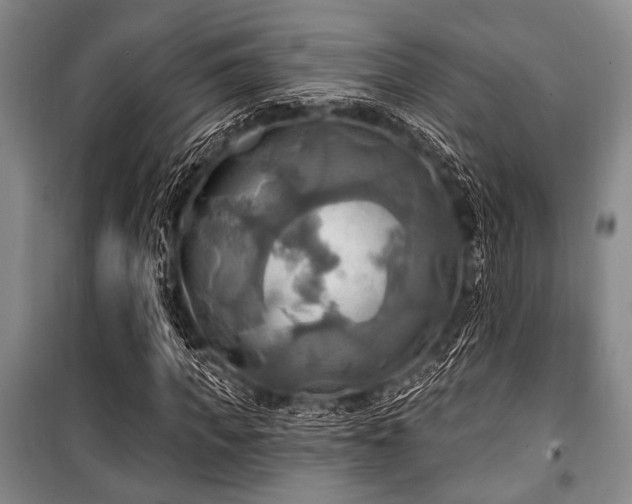 X0000100470917200806131124