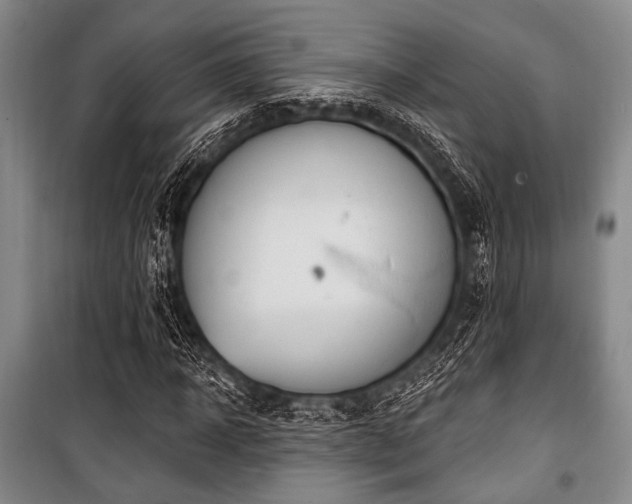 X0000100470918200806131124