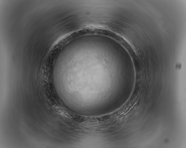 X0000100470919200806131124