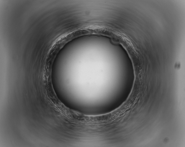 X0000100470920200806131124