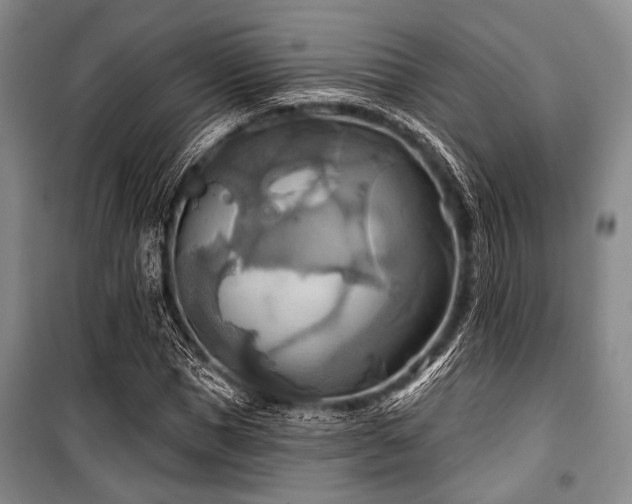 X0000100470921200806131124