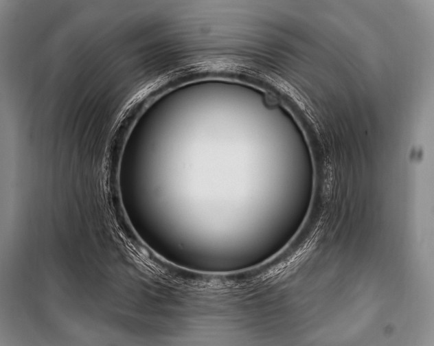 X0000100470922200806131124