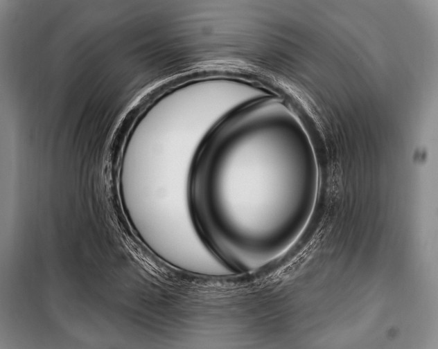 X0000100470923200806131124