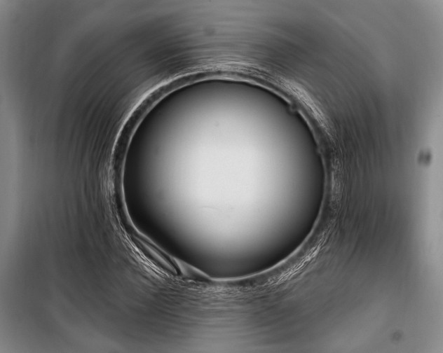 X0000100470924200806131124