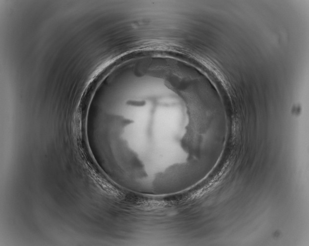 X0000100470925200806131124