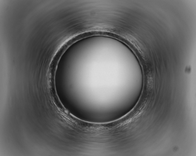 X0000100470926200806131124