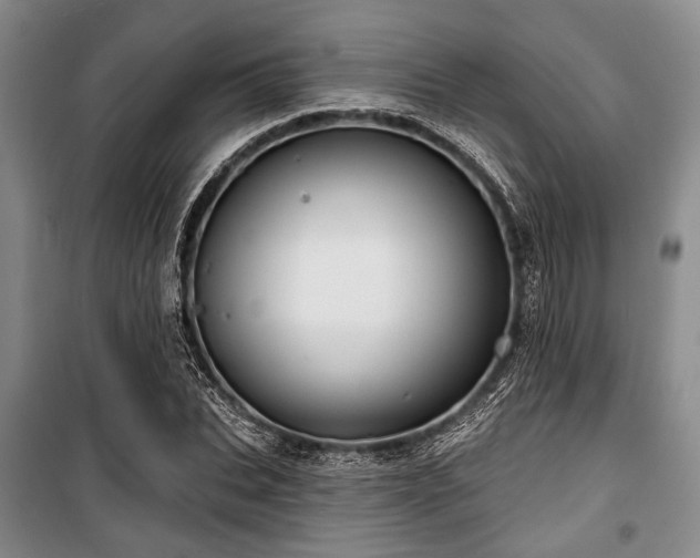 X0000100470927200806131124