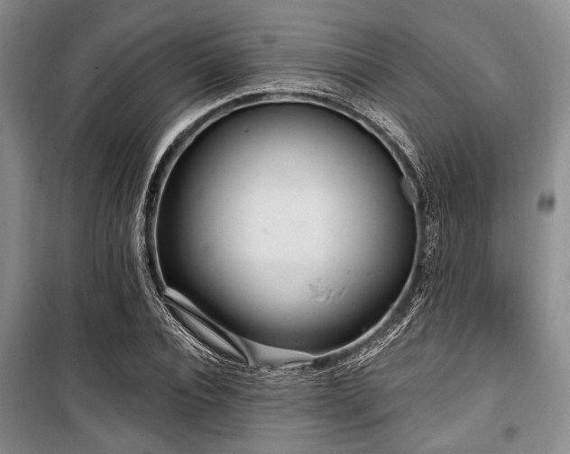 X0000100470928200806131124