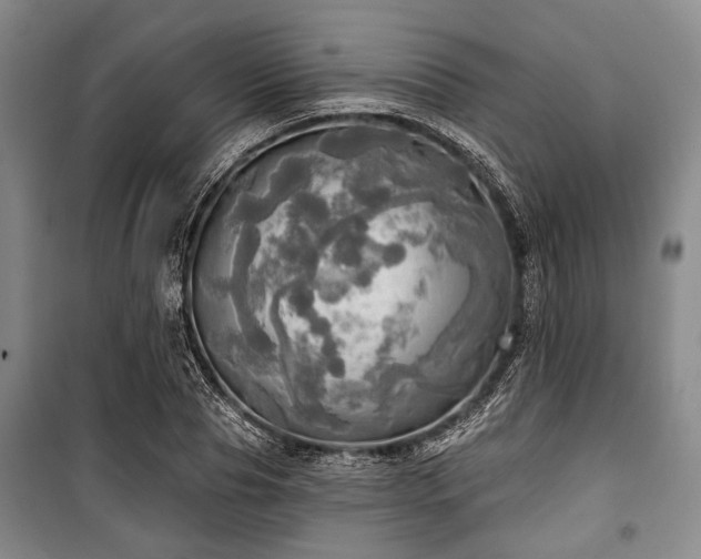 X0000100470929200806131124