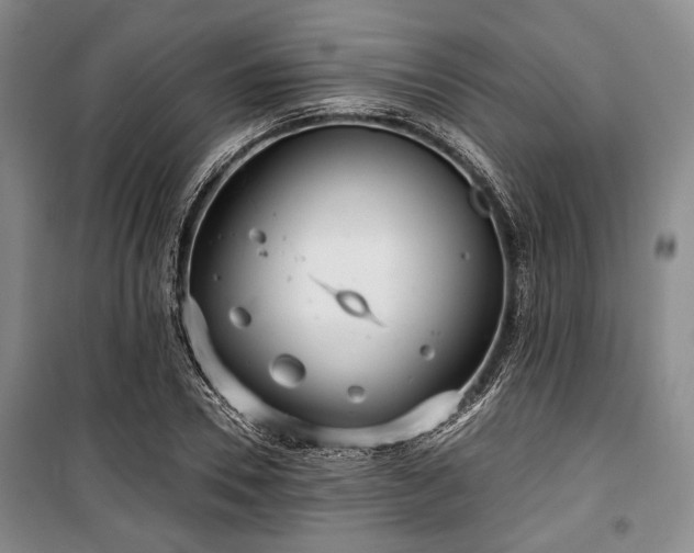 X0000100470930200806131124