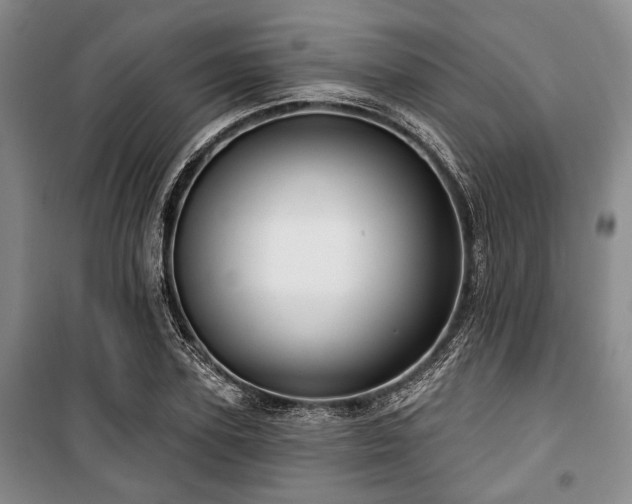 X0000100470931200806131124