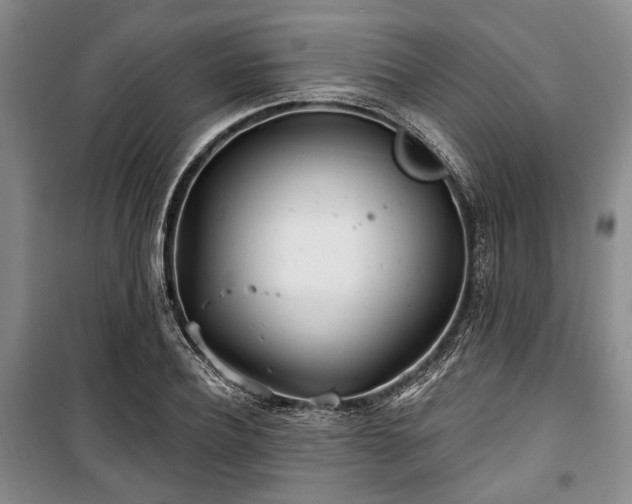 X0000100470932200806131124