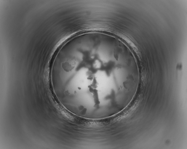 X0000100470933200806131124