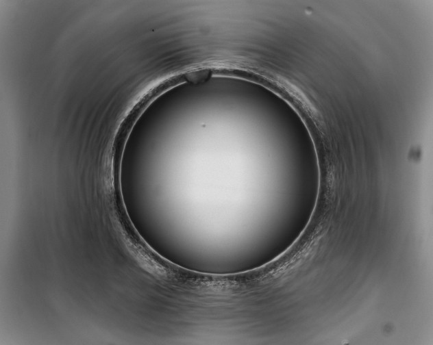 X0000100470934200806131124