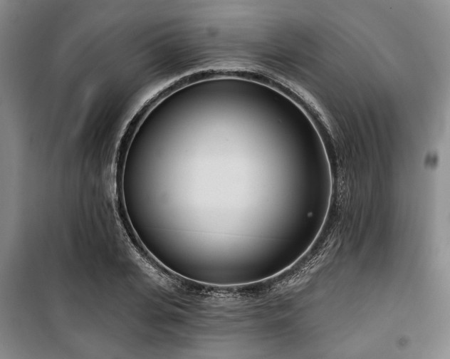 X0000100470935200806131124