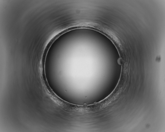 X0000100470936200806131124