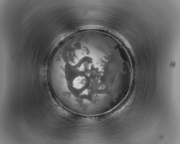 X0000100470937200806131124