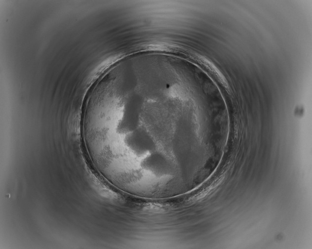 X0000100470938200806131124