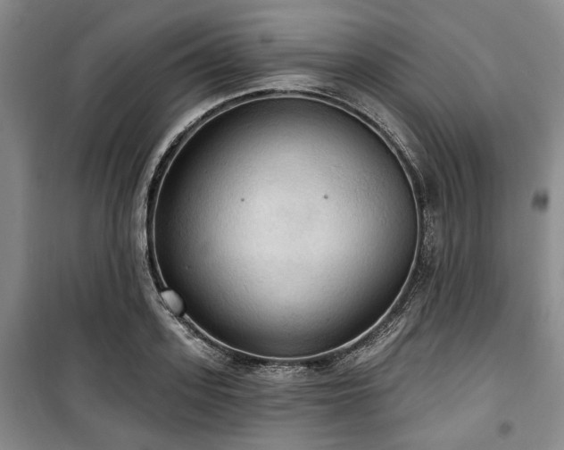 X0000100470939200806131124