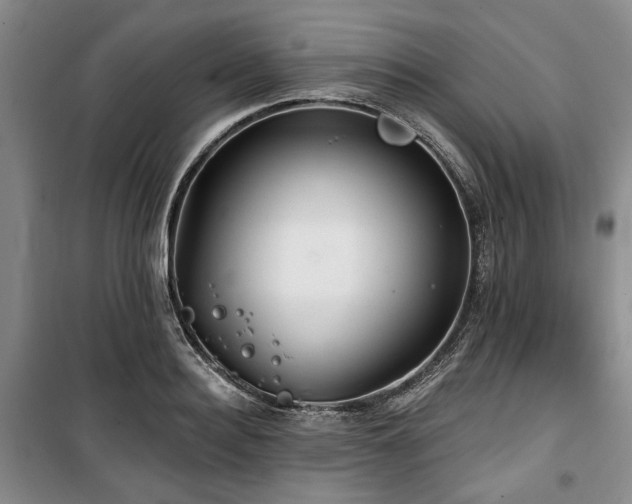 X0000100470940200806131124