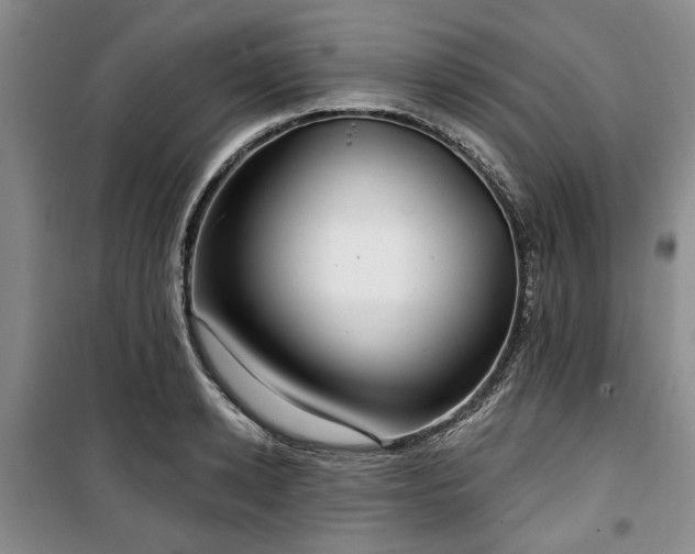 X0000100470942200806131124