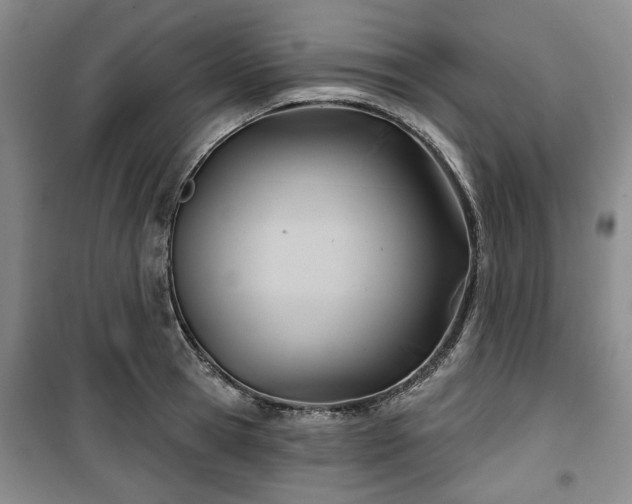 X0000100470945200806131124