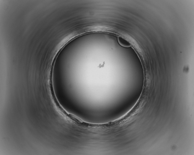 X0000100470946200806131124