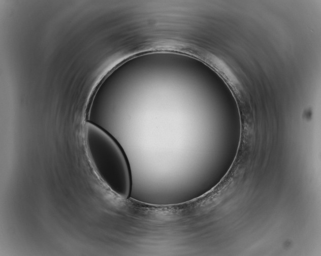 X0000100470948200806131124