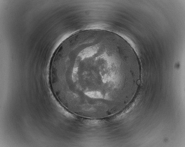 X0000100470949200806131124