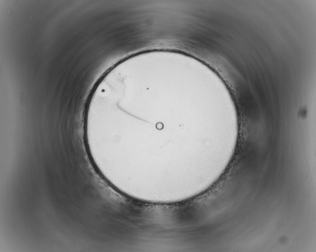 X0000100470950200806131124