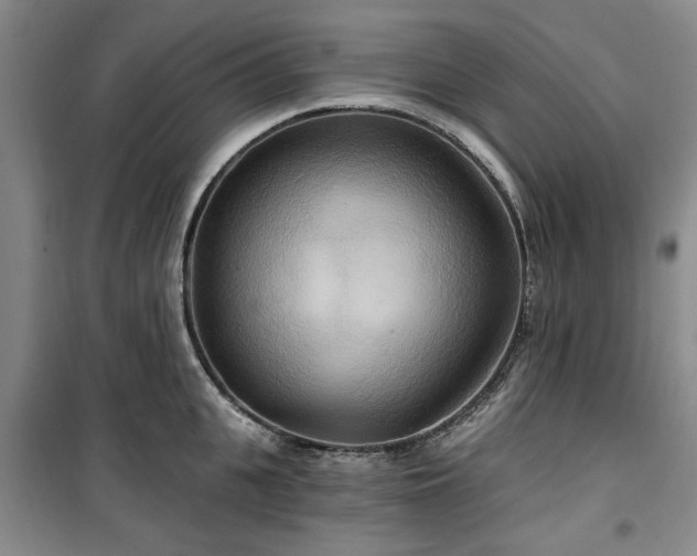 X0000100470951200806131124